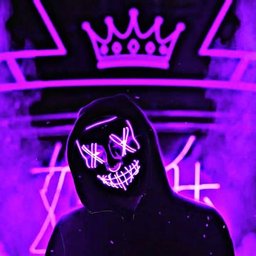 iinsanee91