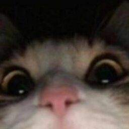 Luiz Gabriel Ramos Aguiar