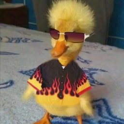 Andrew Andreev