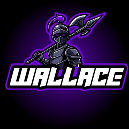 Wallace Souza Pereira