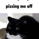 One on One Destruction