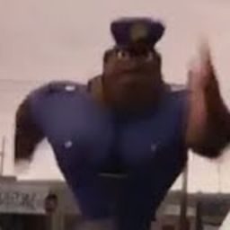 Rastko2
