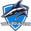 Vega Squadron (was deleted at: 2019-06-11T14:23:14.8650205Z)