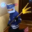 godman_35