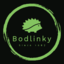 Bodlinky