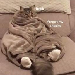 i lack melatonin