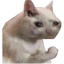 vubec nevim