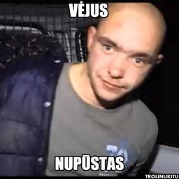 VEJUS NUPUSTAS