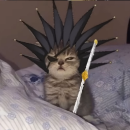 darkkjk