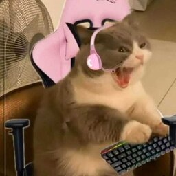 Leehsada