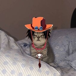 Portgas D.Ace( ???)#0381