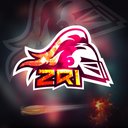 ZR1 eSports