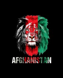 ????Tiger_afghan????