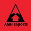 AMH eSports