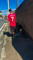 LD Cabralzin#2006