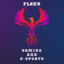 Flexy E-Sports