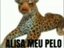 Alisa Meu Pelo