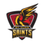 St. Clair Saints R6