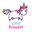 UNICORN POWER TEAM