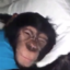aram tiim4i