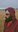 Baljinder Singh3