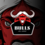 HELL BULLS