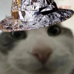 Tin foil hat