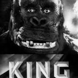KINGDONG