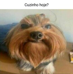 Luiz Gabriel Ribeiro Dias