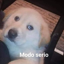 maur3x