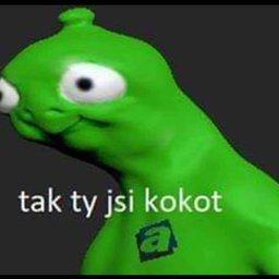 TomášCermák