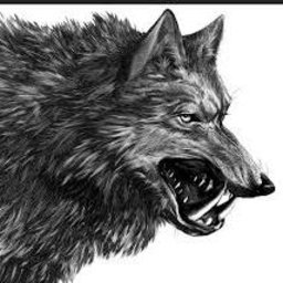 Dire_