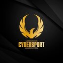 Uzbekistan Cybersport Association