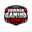 SummirGaming eSports