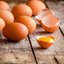 No eggs