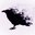 Dark Raven