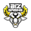 BIZGAMING