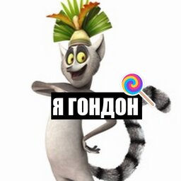 LiLkomisar