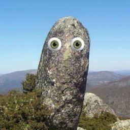 ZeNRG