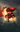marZ#4584