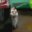 Stalker97