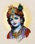 MR Radhe
