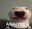 Doggo Análise