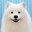 DANSH2