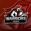 Warriors Esports