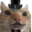 stvorec