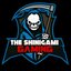 The Shinigami GAMING (was deleted at: 2020-05-05T15:49:35.1172036Z)