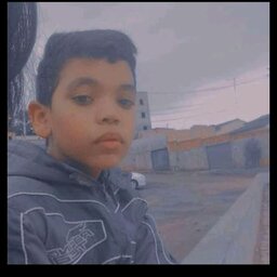 Rodrigo Freitas de Lima