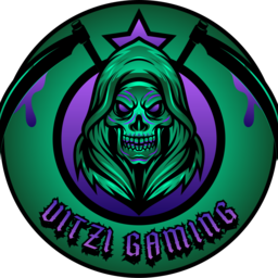 Vitzi Gaming - Profile | Challengermode
