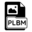 pLBM_#